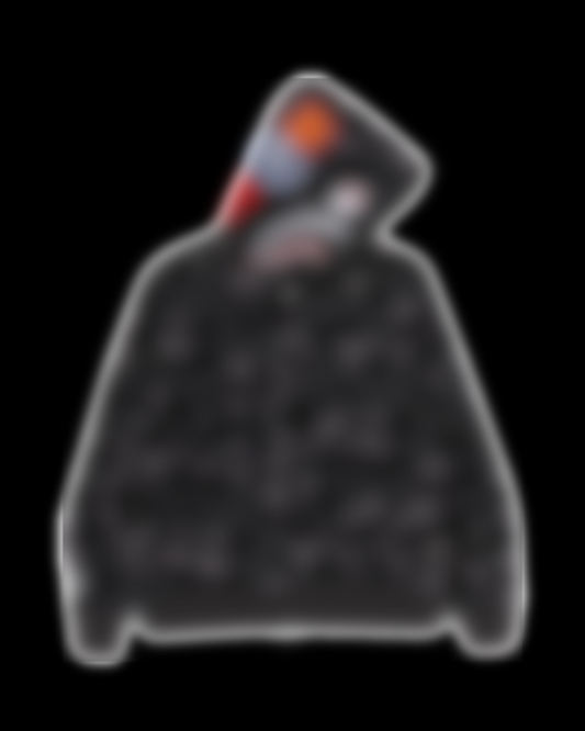 APE HOODIES