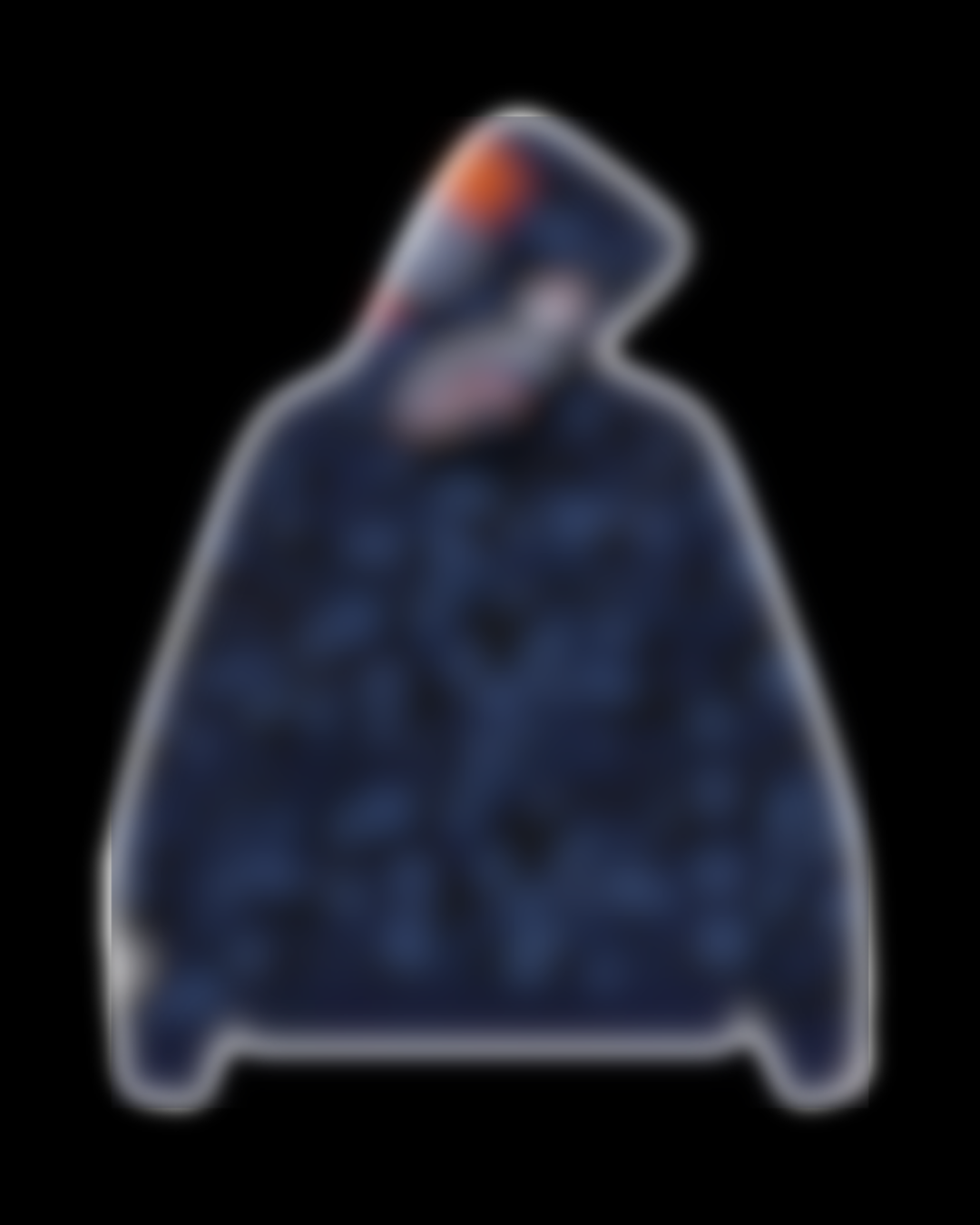 APE HOODIES
