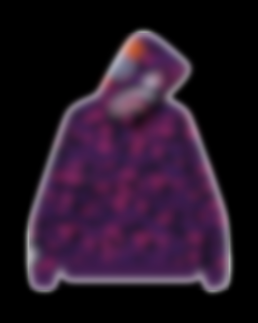 APE HOODIES